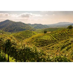 Esplanade Tergesteo - Vital Executive Suite 06 - 4 Days 3 Nights - Exclusive Luxury - Montegrotto Terme - Veneto Italy - Avvenice