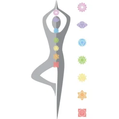 Eusonica - Euracom - Vibro Music Treatment - Wellness Treatment - Beauty Center & Spa Equipments - Avvenice