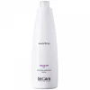 Everline - Hair Solution - Anti Dandruff - Dry Dandruff Shampoo - BeCare - Professional Color Line - 1000 ml - Avvenice