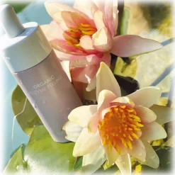 Everline Spa - Perfect Skin - Organic Enzyme Peeling - Perfect Skin - Face - Professional - Avvenice