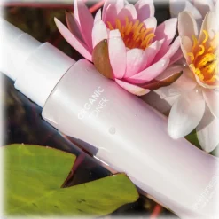 Everline Spa - Perfect Skin - Organic Face Toner “Organic Toner” - Perfect Skin - Face - Professional - Avvenice