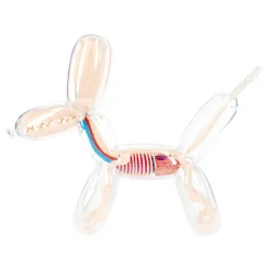 Fame Master - Balloon Dog - Classic - 4D Master - Mighty Jaxx - Jason Freeny - Body Anatomy - XX Ray - Art Toys - Avvenice