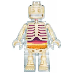 Fame Master - Brick Man - Clear - 4D Master - Mighty Jaxx - Jason Freeny - Body Anatomy - XX Ray - Art Toys - Avvenice