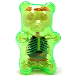 Fame Master - Gummi Bear - Green - 4D Master - Mighty Jaxx - Jason Freeny - Body Anatomy - XX Ray - Art Toys - Avvenice