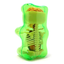 Fame Master - Gummi Bear - Green - 4D Master - Mighty Jaxx - Jason Freeny - Body Anatomy - XX Ray - Art Toys - Avvenice