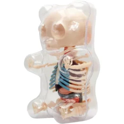 Fame Master - Gummi Bear - Classic - 4D Master - Mighty Jaxx - Jason Freeny - Body Anatomy - XX Ray - Art Toys - Avvenice