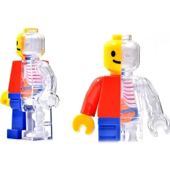 Fame Master - Small Brick Man - Classic - 4D Master - Mighty Jaxx - Jason Freeny - Body Anatomy - XX Ray - Art Toys - Avvenice