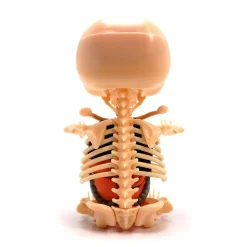 Fame Master - Small Gummi Bear - Orange - 4D Master - Mighty Jaxx - Jason Freeny - Body Anatomy - XX Ray - Art Toys - Avvenice