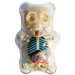 Fame Master - Small Gummi Bear - Classic - 4D Master - Mighty Jaxx - Jason Freeny - Body Anatomy - XX Ray - Art Toys - Avvenice