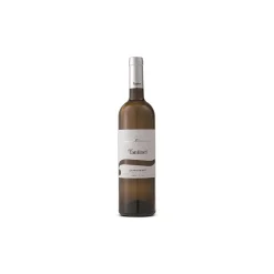 Fantinel - Borgo Tesis - Chardonnay D.O.C. - White Wine - Avvenice