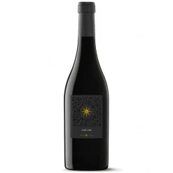 Fondo del Sole - Amicore I.G.T. Red Veneto - Red Wines - Avvenice