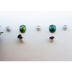 Furnirussi Tenuta - Gourmet - 4 Days 3 Nights - Avvenice