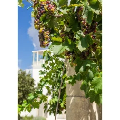 Furnirussi Tenuta - Wellness - 4 Days 3 Nights - Avvenice