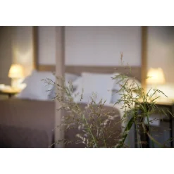 Furnirussi Tenuta - Wellness - 4 Days 3 Nights - Avvenice