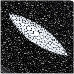 Gian Ferrente - Est. 1982 - Classic Bi-Fold Leather Wallet in Stingray - Black - Luxury High Quality - Avvenice