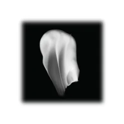 Giorgio Armani - Black Cream Supreme Reviving Cream Light Texture - Revitalizing Cream - Total Anti-Aging Action - Luxury - Avvenice