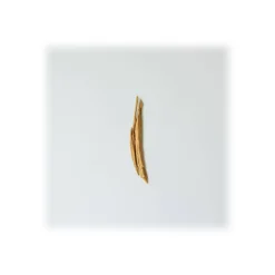 Giorgio Armani - Emporio Armani Stronger with You Freeze Eau de Toilette - Dynamic Energy - Luxury Fragrances - 50 ml - Avvenice