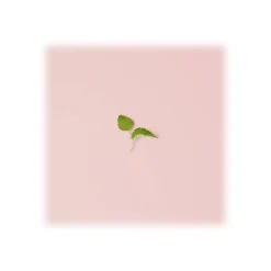 Giorgio Armani - Emporio Armani in Love with You Freeze Eau de Parfum - Seductive Female Fragrance - Luxury Fragrances - 50 ml - Avvenice