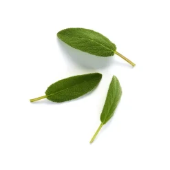 Giorgio Armani - Emporio Armani Stronger with You - Man Fragrance - Luxury Fragrances - 150 ml - Avvenice