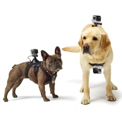 GoPro - Fetch - Dog Harness - GoPro Accessories - Avvenice