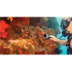 GoPro - Gooseneck - Adjustable Swan Neck Flexible Extension - GoPro Accessories - Avvenice