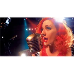 GoPro - Mic Stand Mount - GoPro Accessories - Avvenice