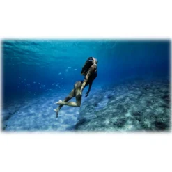 GoPro - New HERO - 2018 - Underwater Professional 1440p 1080p Video Camera - Professional Video Camera - Avvenice