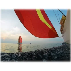 GoPro - Suction Cup - Attach your GoPro to Cars, Boats, Motorcycles and More - GoPro Accessories - Avvenice