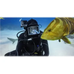 GoPro - Supercharger - International Dual-Port Charger - GoPro Accessories - Avvenice