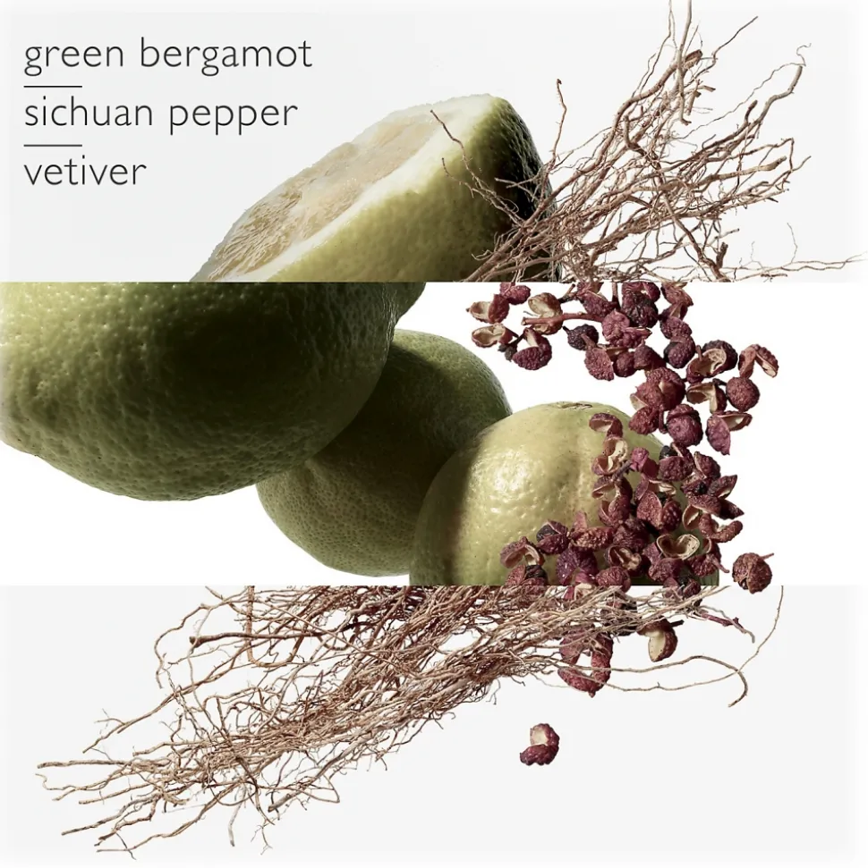 Hermès - Terre d'Hermes - Eau Intense Vétiver - Eau de Parfum - Luxury Fragrances - 100 ml - Avvenice