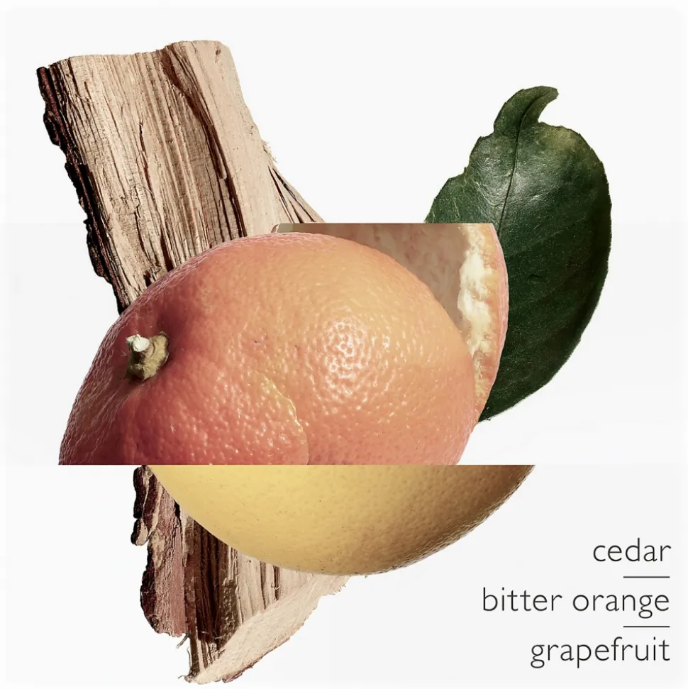 Hermès - Terre d'Hermes - Eau Très Fraîche - Eau de Toilette - Luxury Fragrances - 125 ml - Avvenice