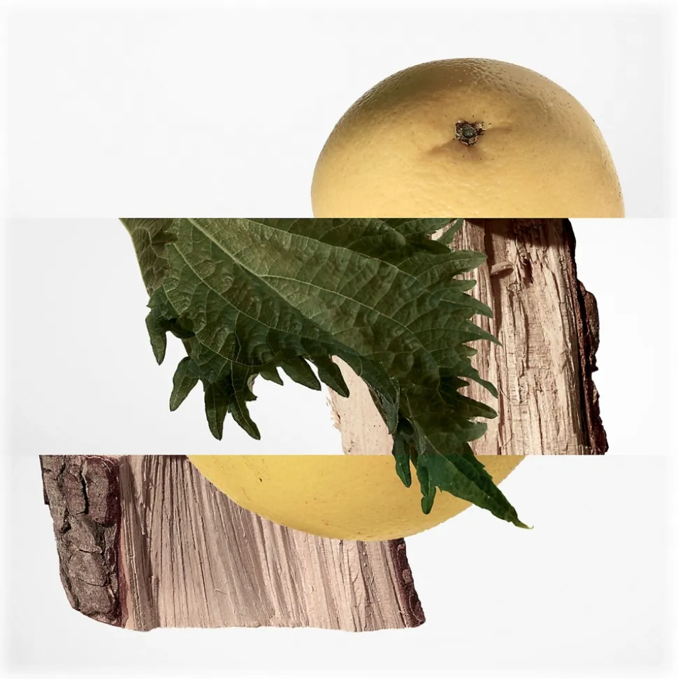 Hermès - Terre d'Hermes - Parfum - Luxury Fragrances - 75 ml - Avvenice