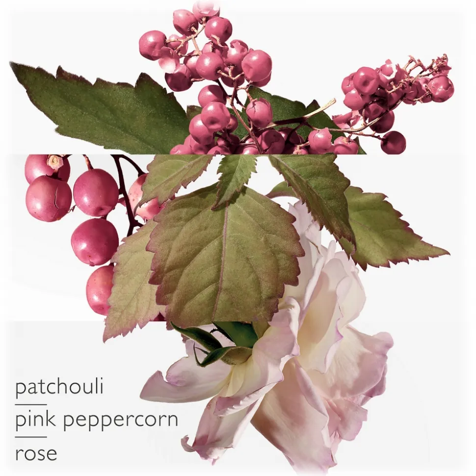 Hermès - Twilly d’Hermes Eau Poivree - Eau de Parfum - Luxury Fragrances - 85 ml - Avvenice