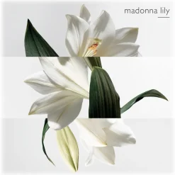 Hermès - Un Jardin Sur La Lagune - Eau de Toilette - Luxury Fragrances - 50 ml - Avvenice