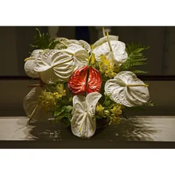 Hotel Bonvecchiati - Venice Feeling - 4 Days 3 Nights - Venice Exclusive Luxury - Avvenice