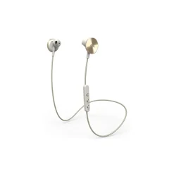 i.am+ - I Am Plus - Buttons - Gold - Premium Wireless Bluetooth Earphones - Tailored Fit with Immersive Sound - Avvenice