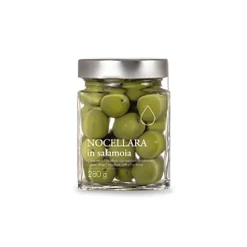Il Bottaccio - Green Nocellara Olives in Brine - Olives - Tuscan Extra Virgin Olive Oil - Italian - High Quality - 280 g - Avvenice