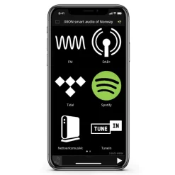 Ixion Audio - Maestro MKII - Grey - Multiroom Speaker - WLAN Multi-Room - Airplay, Stereo, Bluetooth, Wireless, WiFi - Avvenice