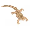 Jekca - Bearded Dragon 01S - Lego - Sculpture - Construction - 4D - Brick Animals - Toys - Avvenice