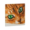 Jekca - Cat Eyes Brick Painting 01S-M01 - Lego - Sculpture - Construction - 4D - Brick Animals - Toys - Avvenice