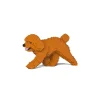 Jekca - Dwarf Poodle - Dog - 02S-M04 - Lego - Sculpture - Construction - 4D - Brick Animals - Toys - Avvenice