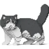 Jekca - Exotic Shorthair Cat 01S-M02 - Lego - Sculpture - Construction - 4D - Brick Animals - Toys - Avvenice