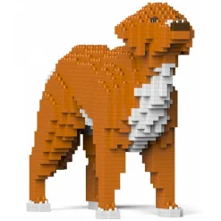 Jekca - Nova Scotia Duck Tolling Retriever 01-M01 - Big - Lego - Sculpture - Construction - 4D - Brick Animals - Toys - Avvenice