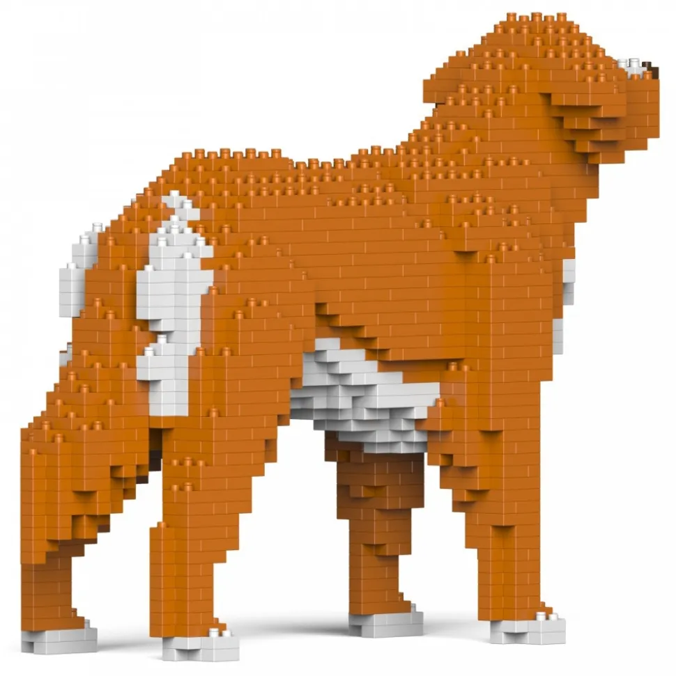 Jekca - Nova Scotia Duck Tolling Retriever 01S - Lego - Sculpture - Construction - 4D - Brick Animals - Toys - Avvenice