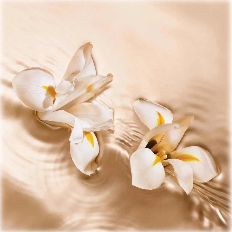 Jimmy Choo - Iris Crush EDP - Eau de Parfum Iris Crush - Exclusive Collection - Luxury Fragrance - 125 ml - Avvenice