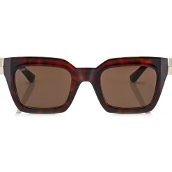 Jimmy Choo - Maika - Brown Cat Eye Sunglasses with Havana Frame - Jimmy Choo Eyewear - Avvenice