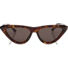 Jimmy Choo - Sparks - Brown Fashion Sunglasses with Dark Havana Frame - Jimmy Choo Eyewear - Avvenice