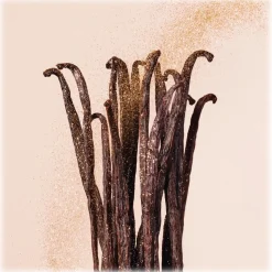 Jimmy Choo - Vanilla Love EDP - Eau de Parfum Vanilla Love - Exclusive Collection - Luxury Fragrance - 125 ml - Avvenice