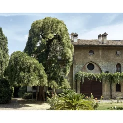 Le Dimore del Borgo - Discovering Borgo del Balsamico - 2 Days 1 Night - Ortigia Suite - 2 Persons - Balsamic Vinegar Experience - Avvenice