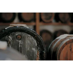 Le Dimore del Borgo - Discovering Borgo del Balsamico - 2 Days 1 Night - Cortina Suite - 2 Persons - Vinegar Experience - Avvenice